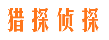 比如市调查公司